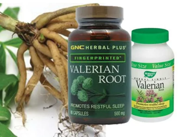 The Power of Valerian: How This Ancient Herb Can Help You Sleep Better